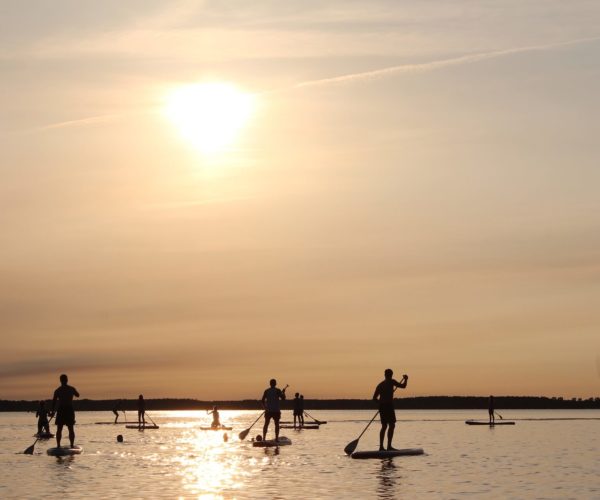 Activité Paddle à Théoule-sur-Mer